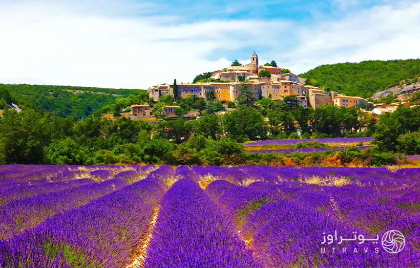 Plains of Provence